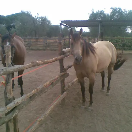 La Torretta *